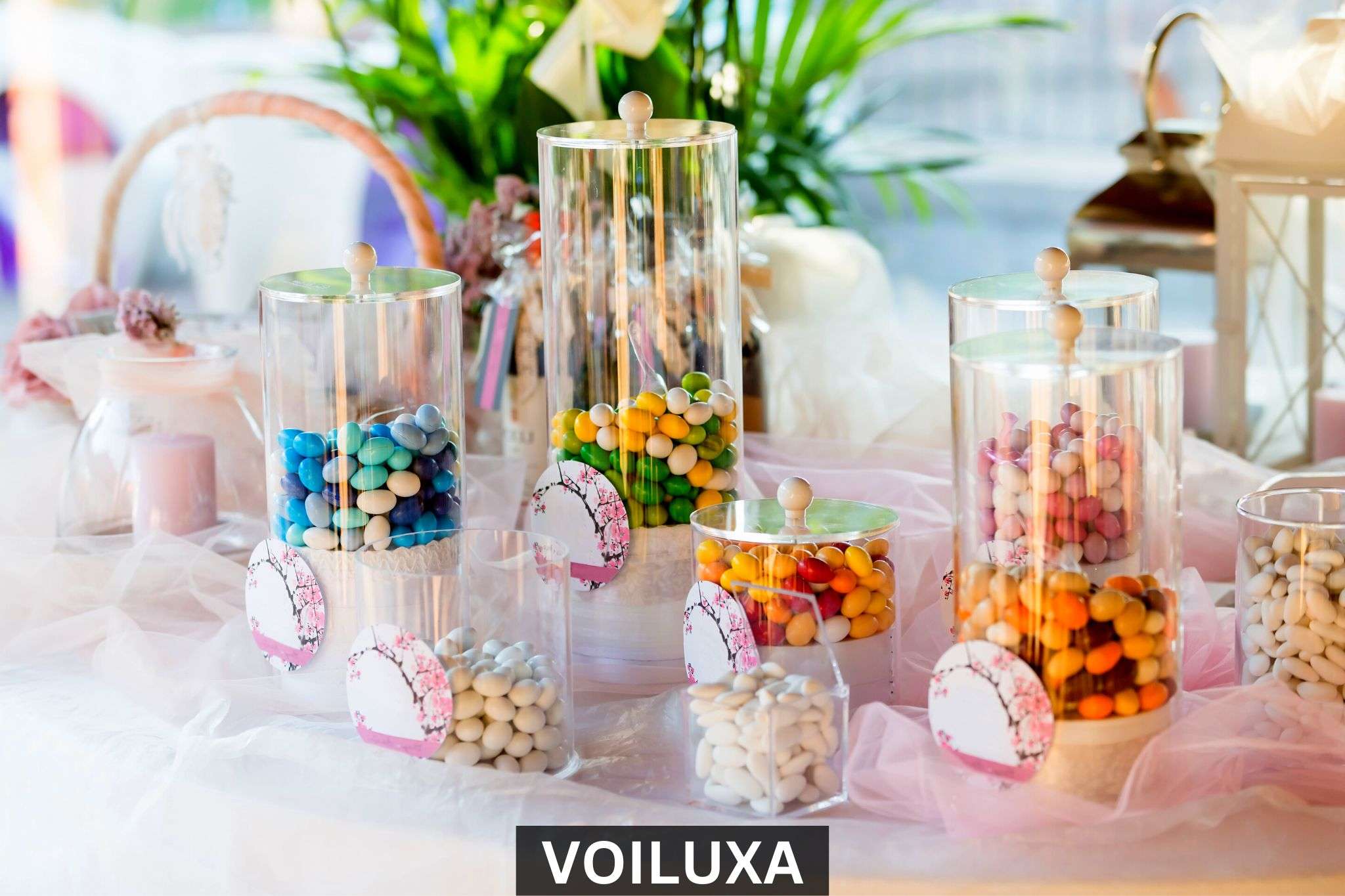 08 Best Wedding Favors For Your Guests In 2023